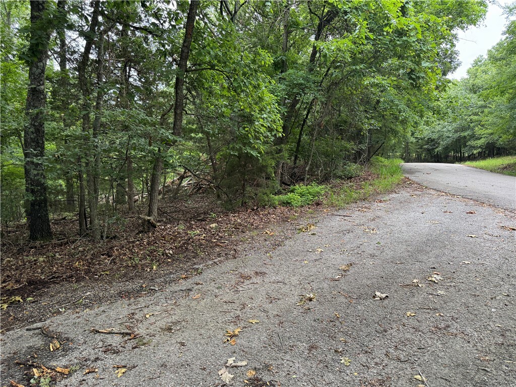 Lot 59 W Airport Drive  Garfield AR 72732 photo