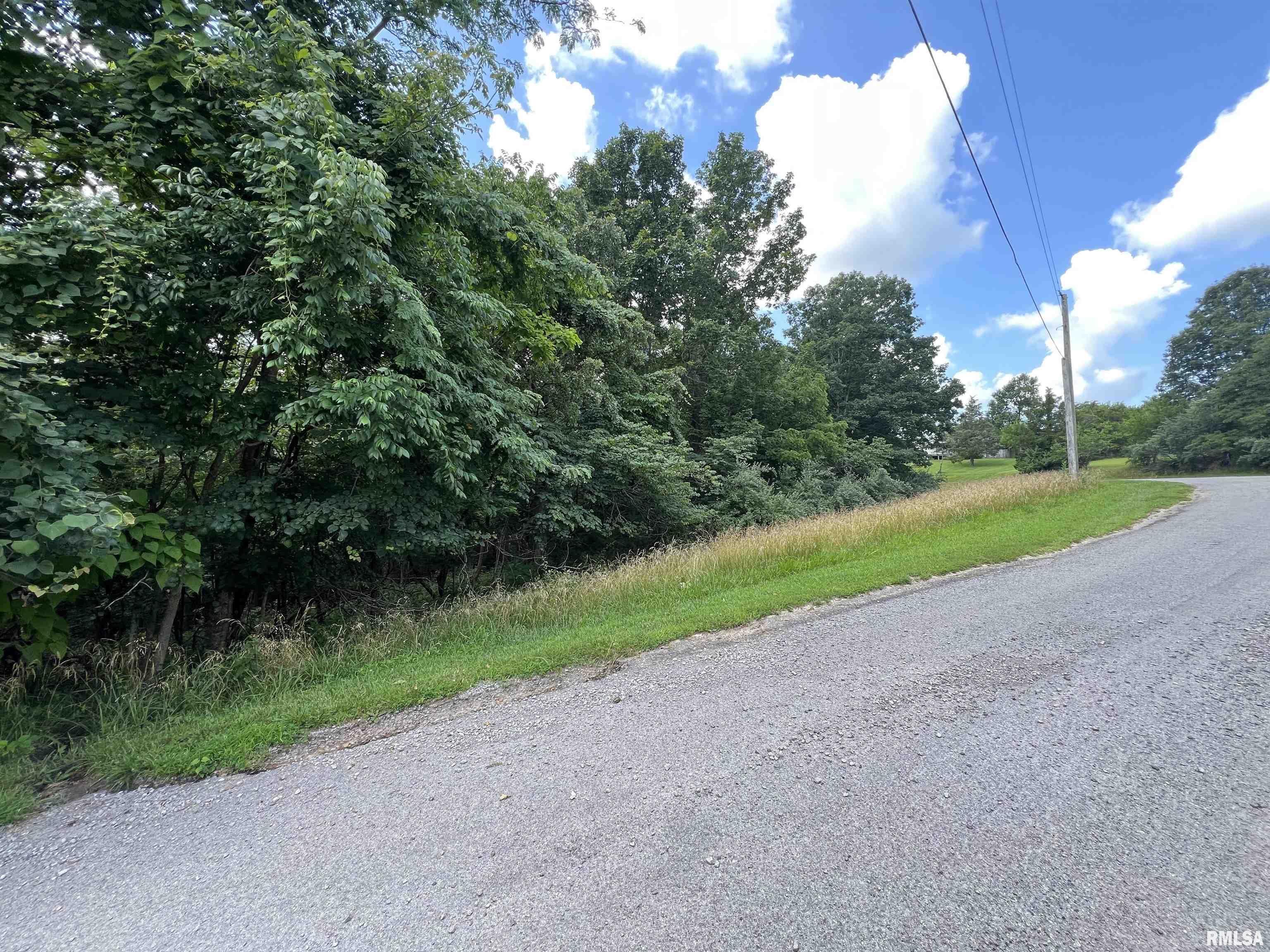 Property Photo: 0000 S Lakeshore Drive IL 62939