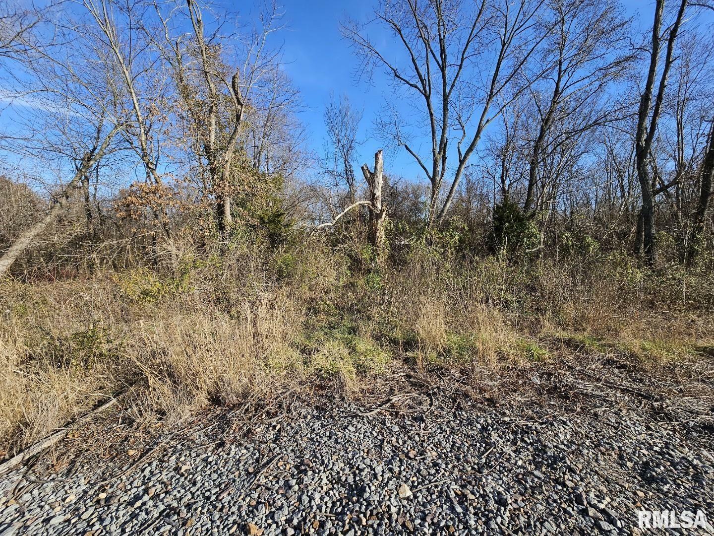 Property Photo: 0000 N Il Hwy 37 Highway IL 62816