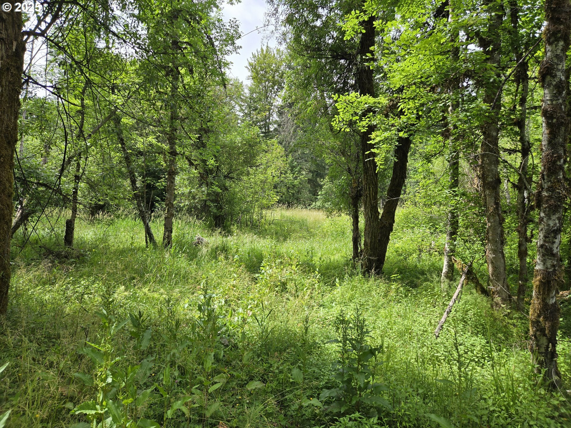 Property Photo: 161 Cannavina Pvt Rd 4 WA 98610