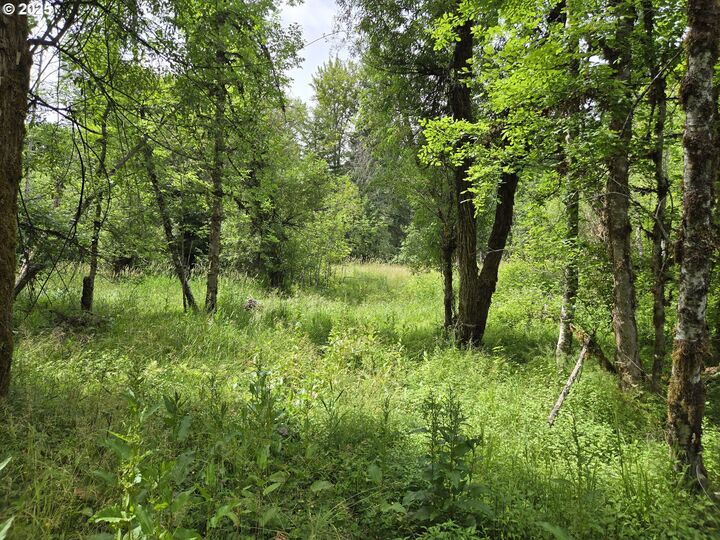 Property Photo:  161 Cannavina Pvt Rd 4  WA 98610 