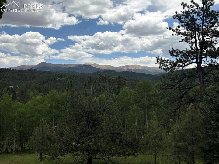Property Photo:  532 May Queen Drive  CO 80813 