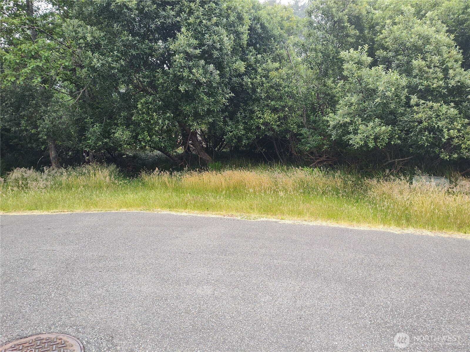 Property Photo: 660 Alder Court NE WA 98569
