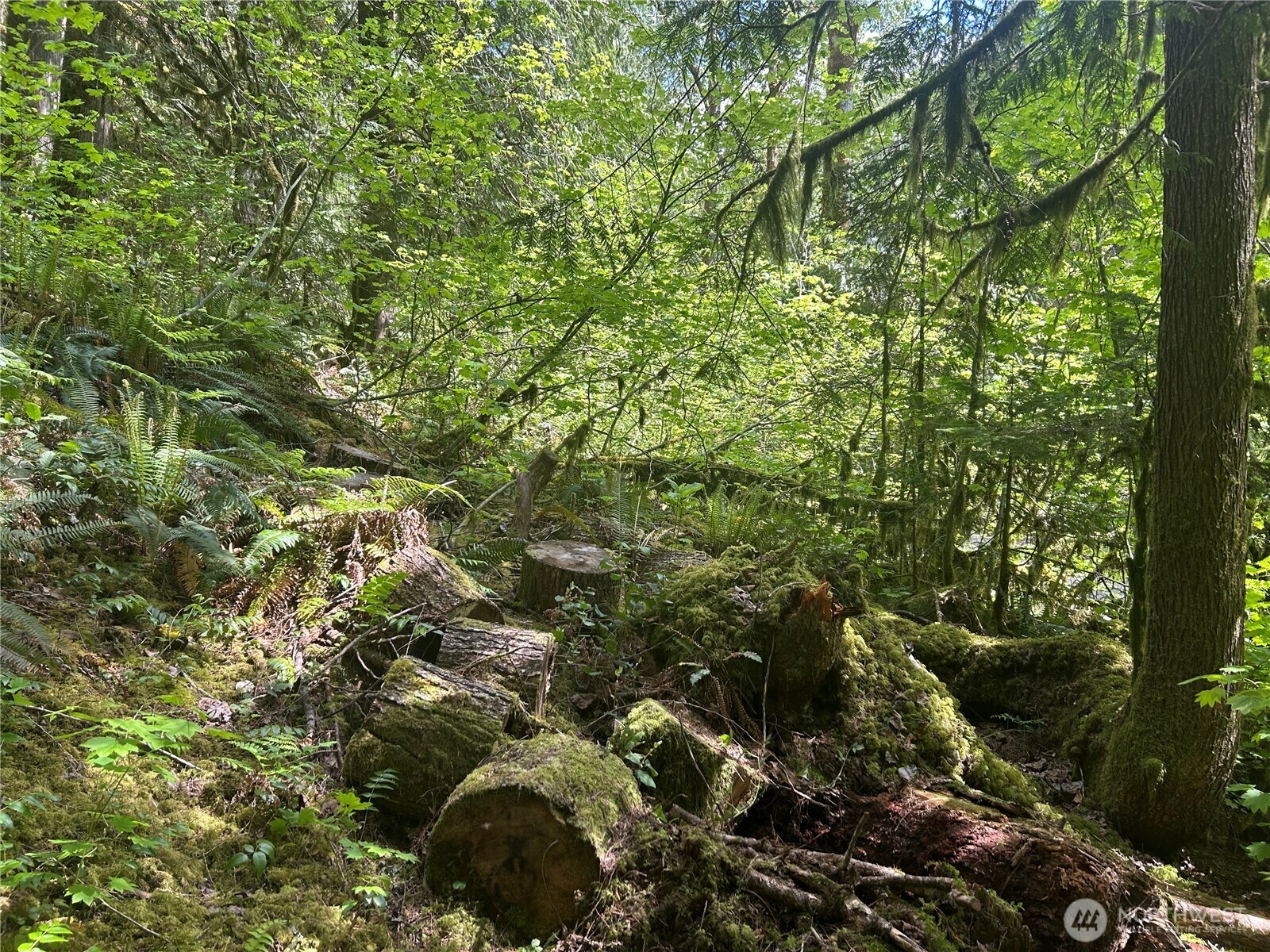 Property Photo: 64017 E Cascade Drive 1-194 WA 98267