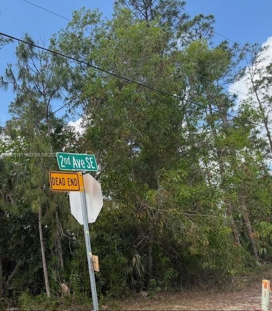 Property Photo:  Golden Gate St 2nd Ave SE  FL 34117 