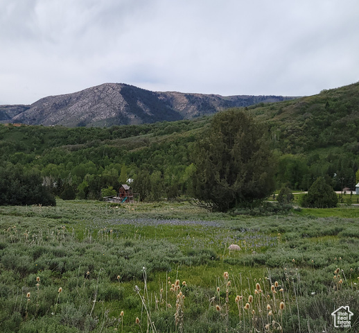 Property Photo: 3103 Pine Way 384 UT 84317