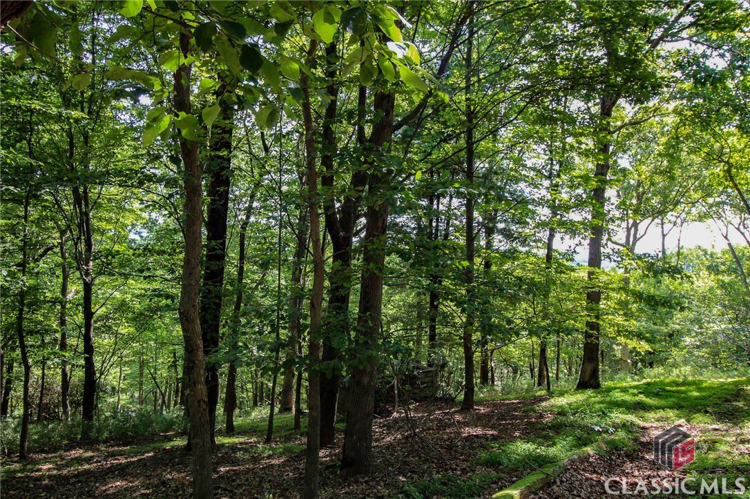 Property Photo: 8088 Ridgeview Drive GA 30143