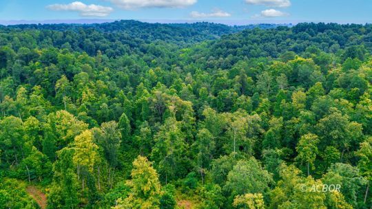 Property Photo: Brumfield Road OH 45623
