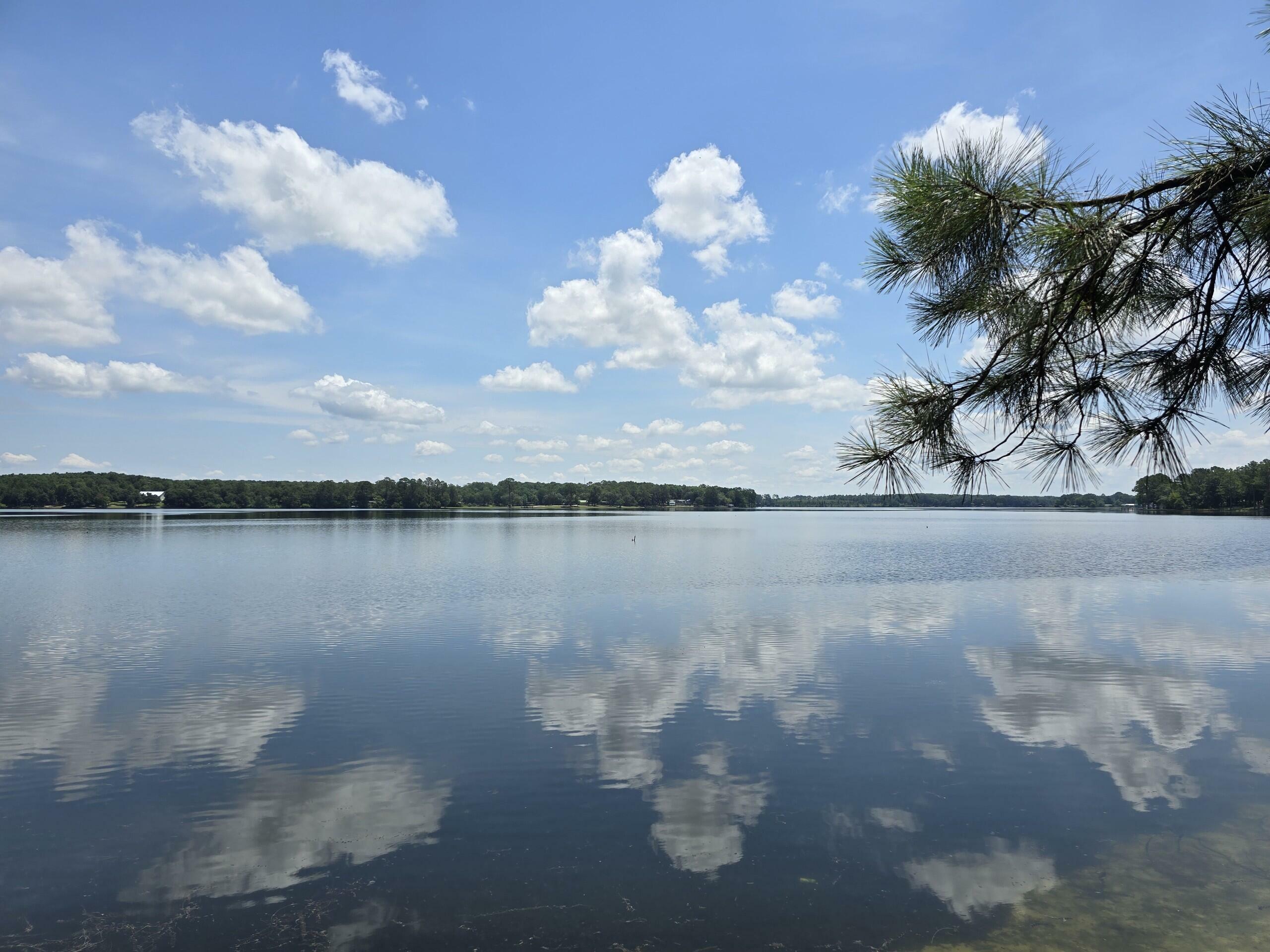 Property Photo:  335 Franck Drive  FL 32433 