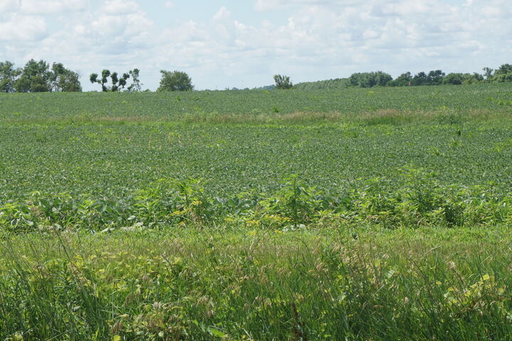 Property Photo:  11338 E 9000 N Road  IL 60940 