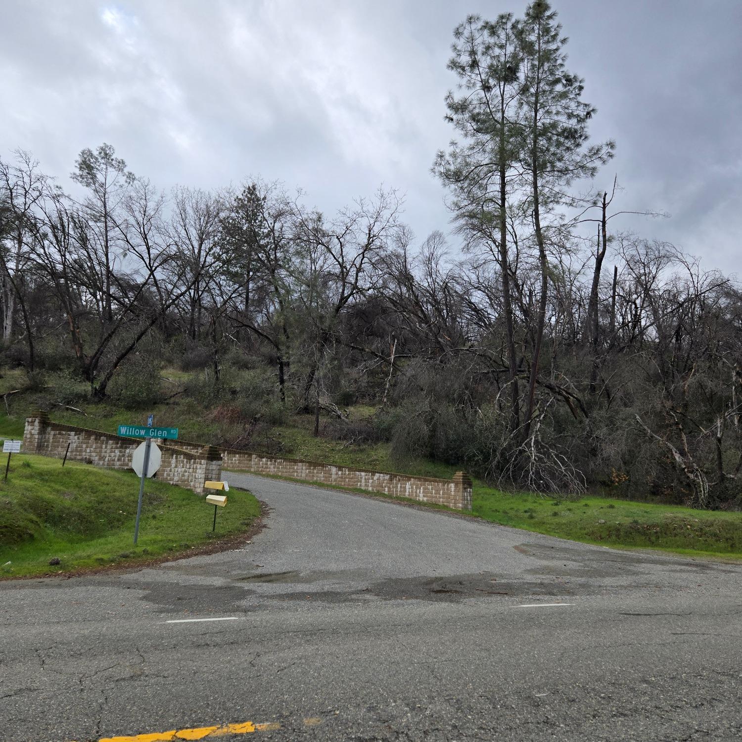 Property Photo:  0 Willow Glen Road  CA 95962 