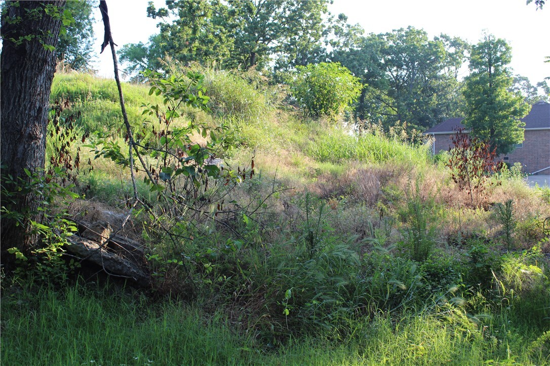 Property Photo:  000 Woodland Court  MO 65616 