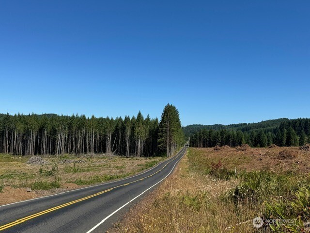 Property Photo: 0 Lot 5 Nelson Road WA 98596