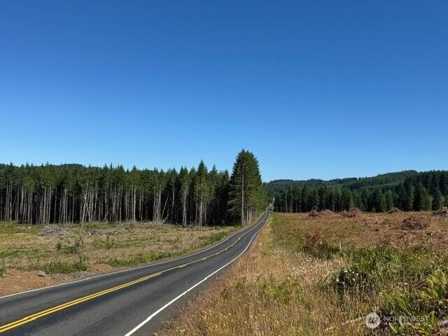 Property Photo:  0 Lot 5  Nelson Road  WA 98596