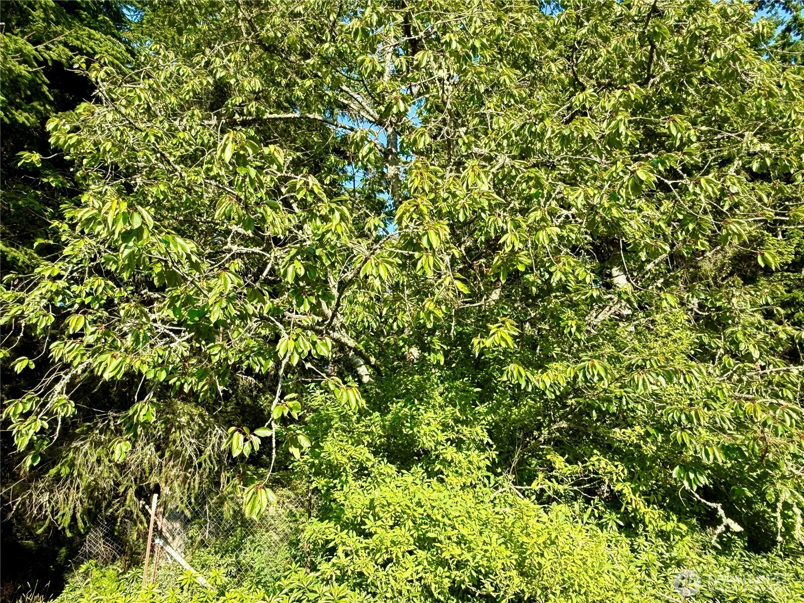 Property Photo:  980 NE Pennington Loop  WA 98239 