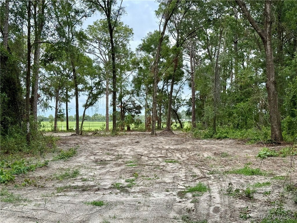 Property Photo: 3921 S Placid Avenue FL 34452