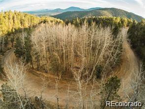 Property Photo:  13305 S Resort Drive  CO 80433 