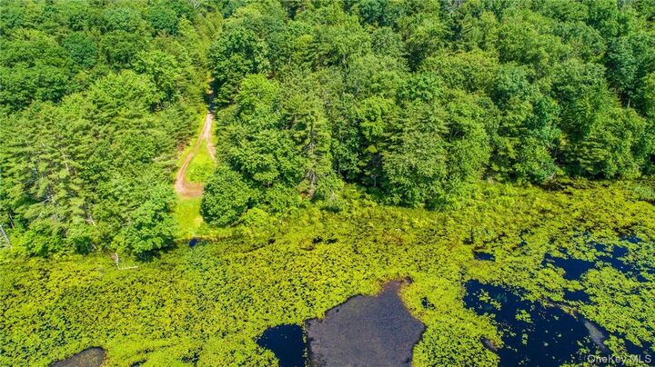 Property Photo: Lot9.6/7/8/9/10/11/12/13+ Elle Drive NY 12737