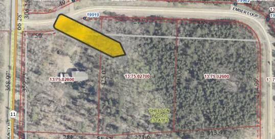 Property Photo:  Tbd Ember Loop  MN 56470 