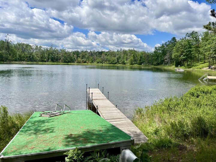 1830 Dollar Lk Road  Lewiston MI 49756 photo