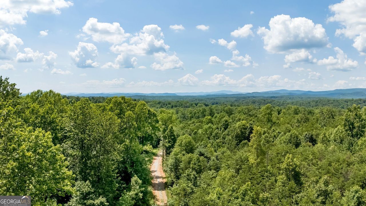 0 Buckhorn Road  Clarkesville GA 30523 photo