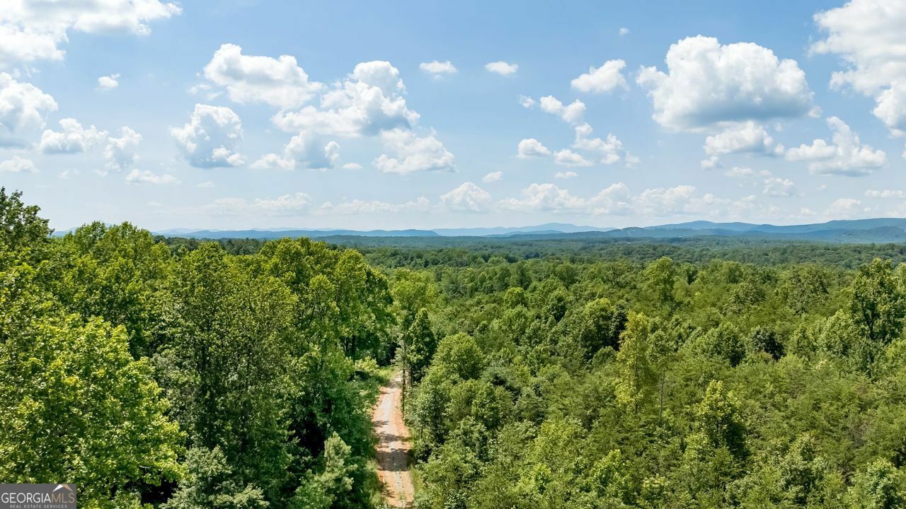 Property Photo: 0 Buckhorn Road GA 30523
