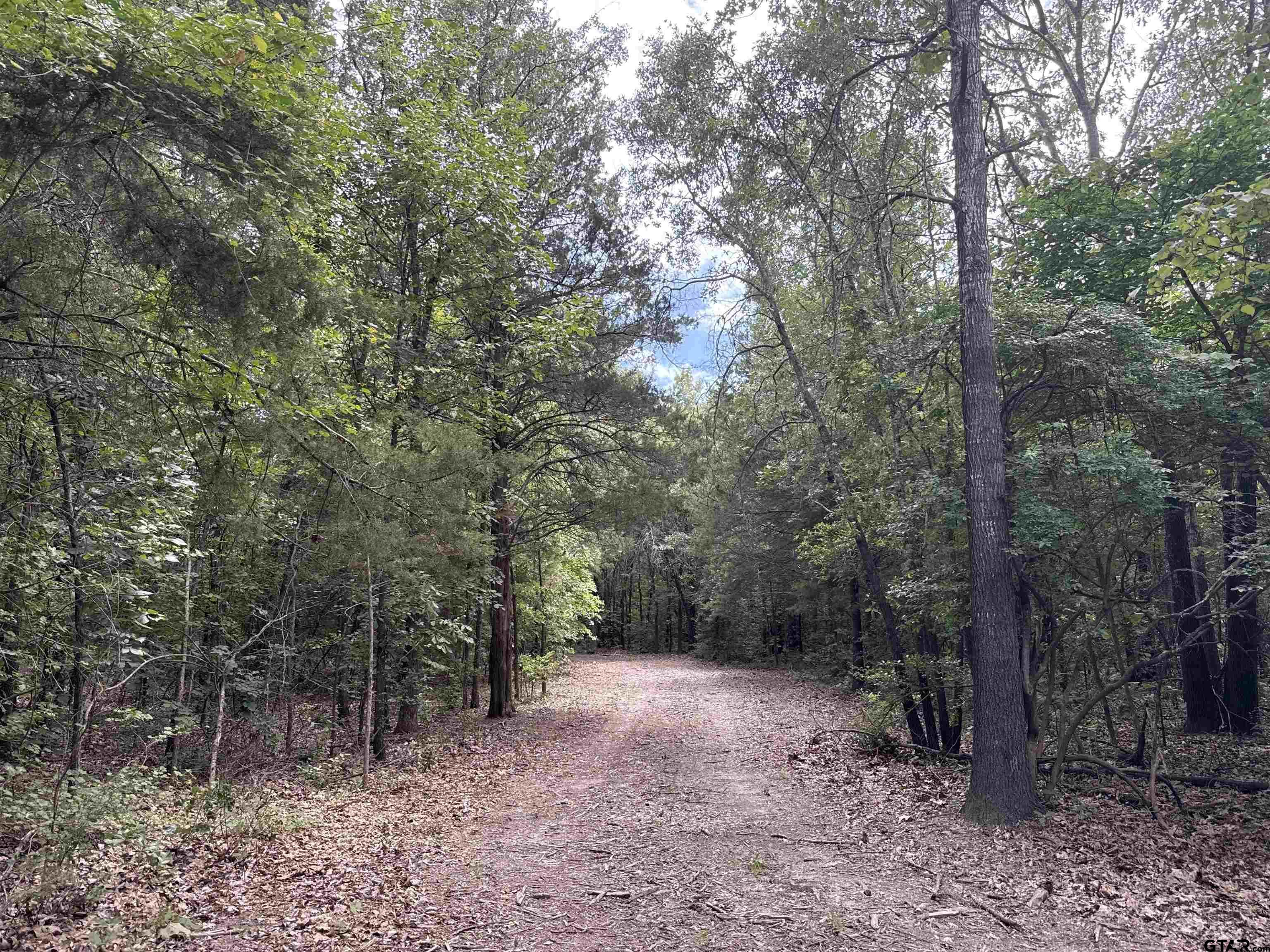 Property Photo: 22417 Cr 455 TX 75773