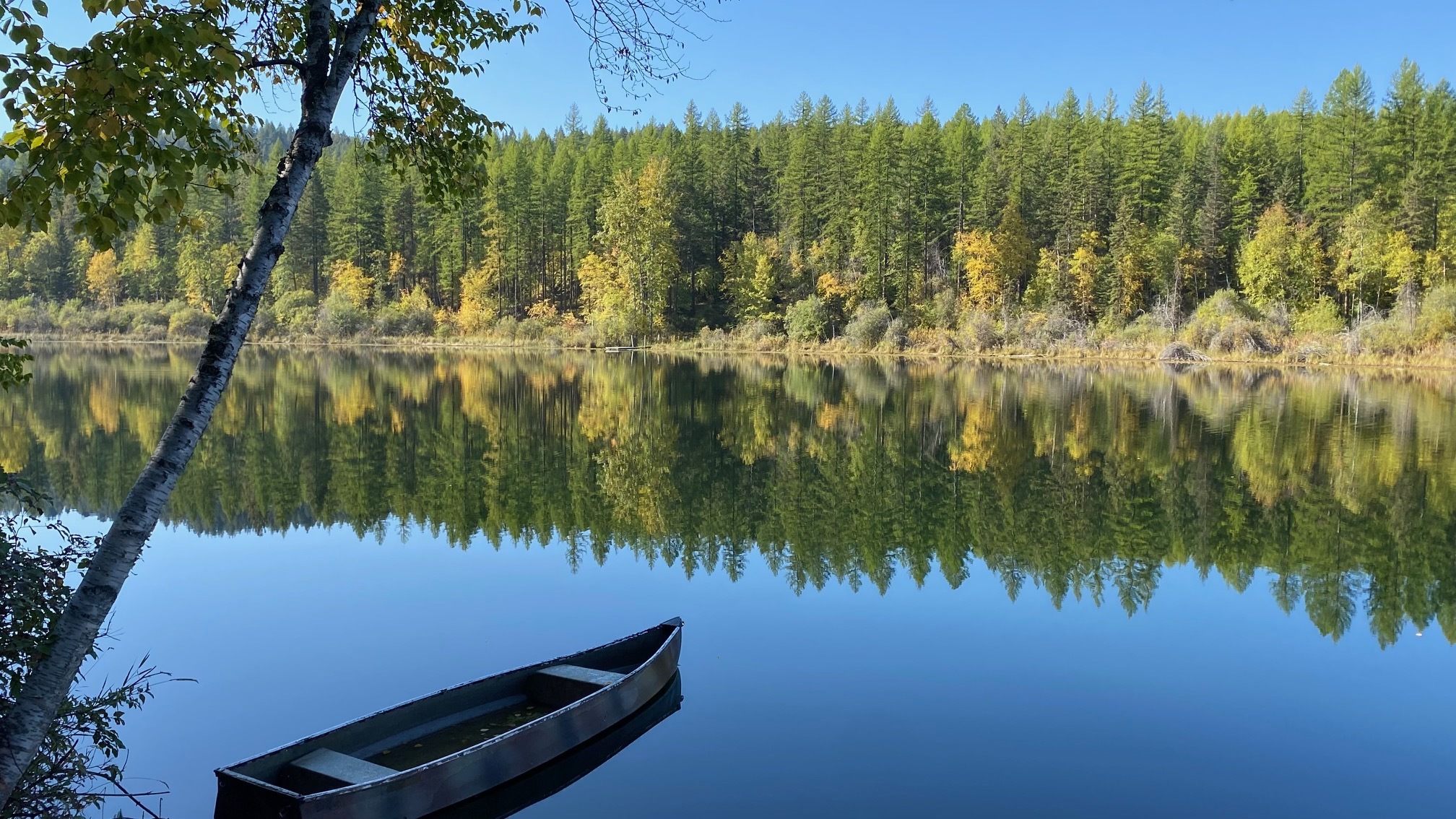 Property Photo:  2265 Sasquatch Hollow  MT 59937 