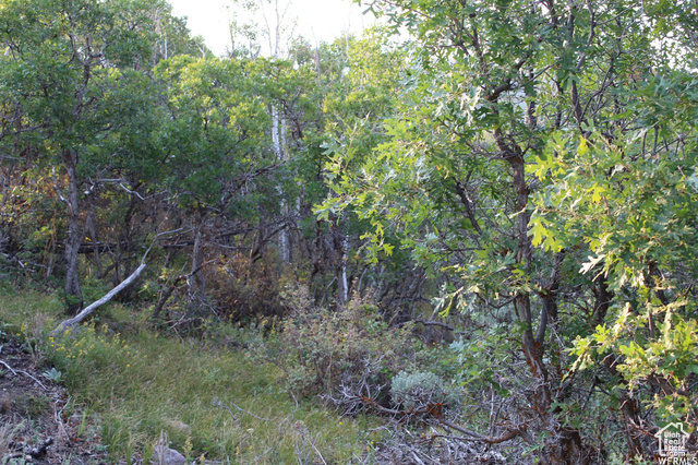 Property Photo: 1421 S Beaver Bench E 1421 UT 84032