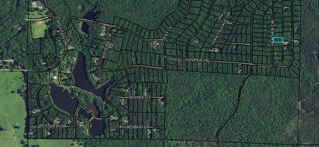 Property Photo:  Blk 29 Lot 31 Heather Circle  GA 31831 