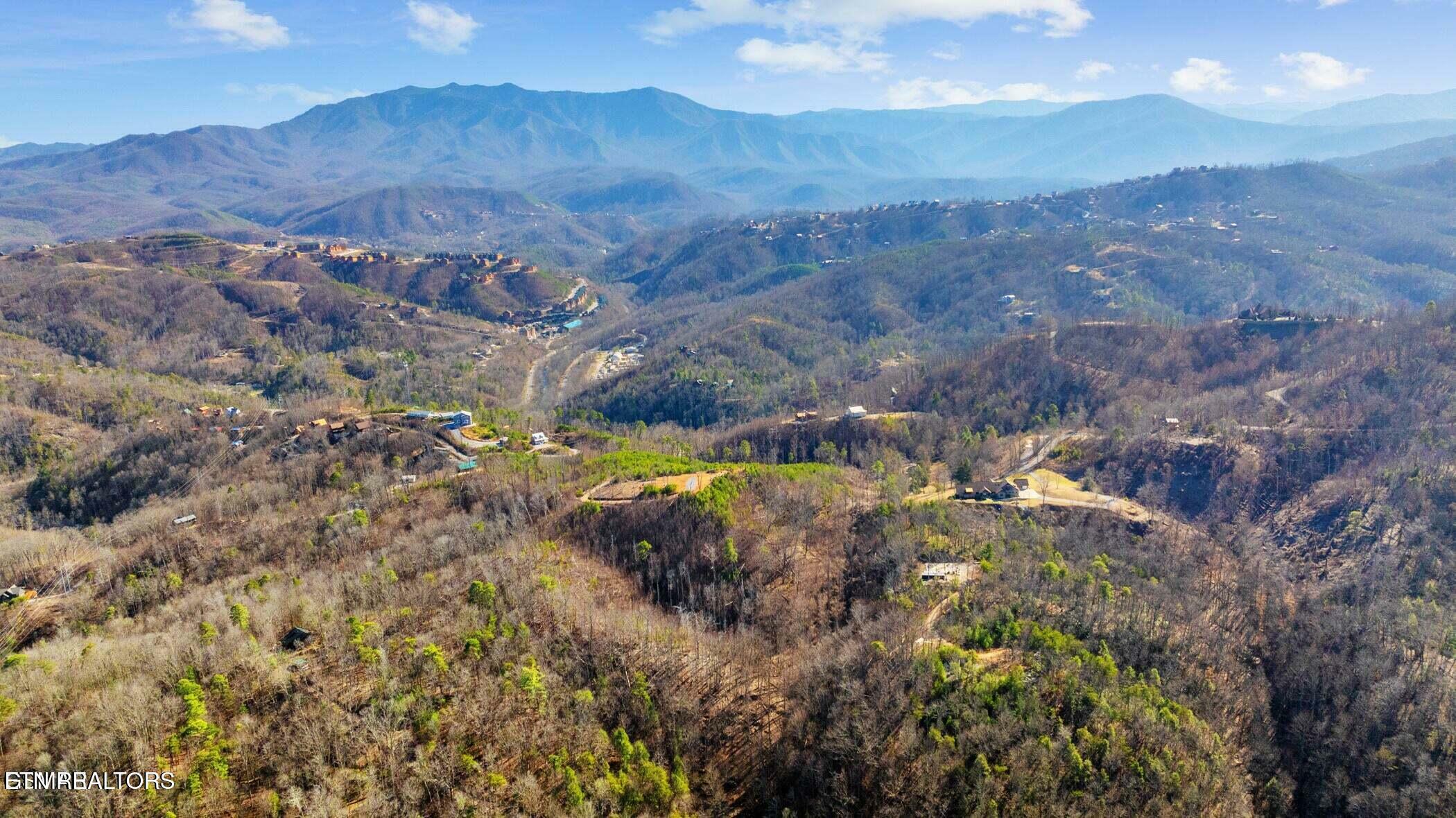 Property Photo: Lot 3 Cove Mountain Rd TN 37738