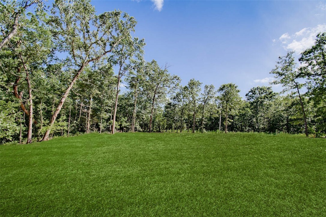 Property Photo: 37 Copinsay Drive AR 72715