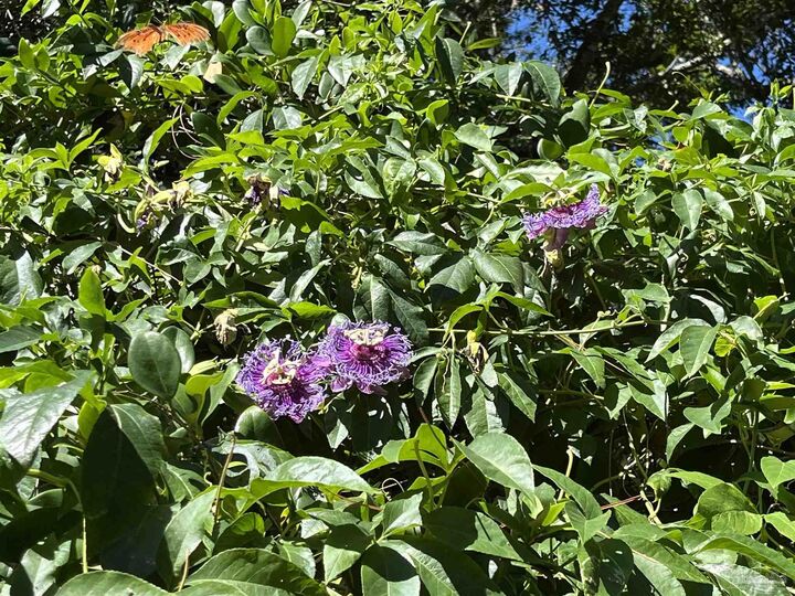 Property Photo: 4648 Hickory Shores Blvd FL 32563