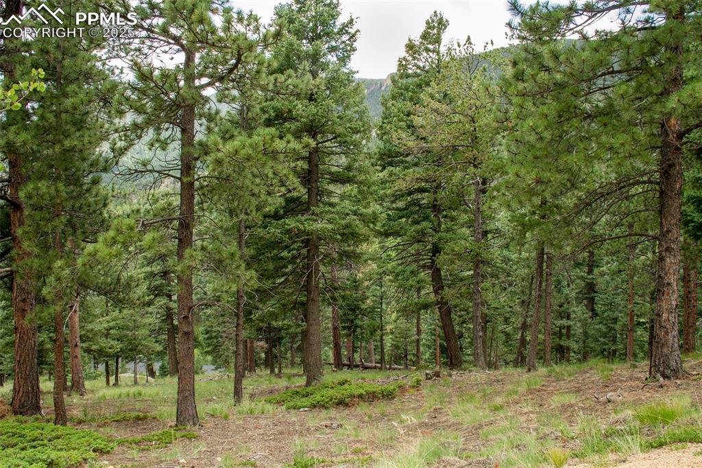 Property Photo: 266 Aspen Ridge Road CO 80829
