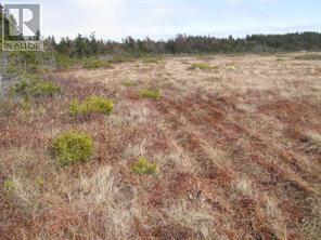 Property Photo:  4 Williams Lane  NL A2N 3V1 