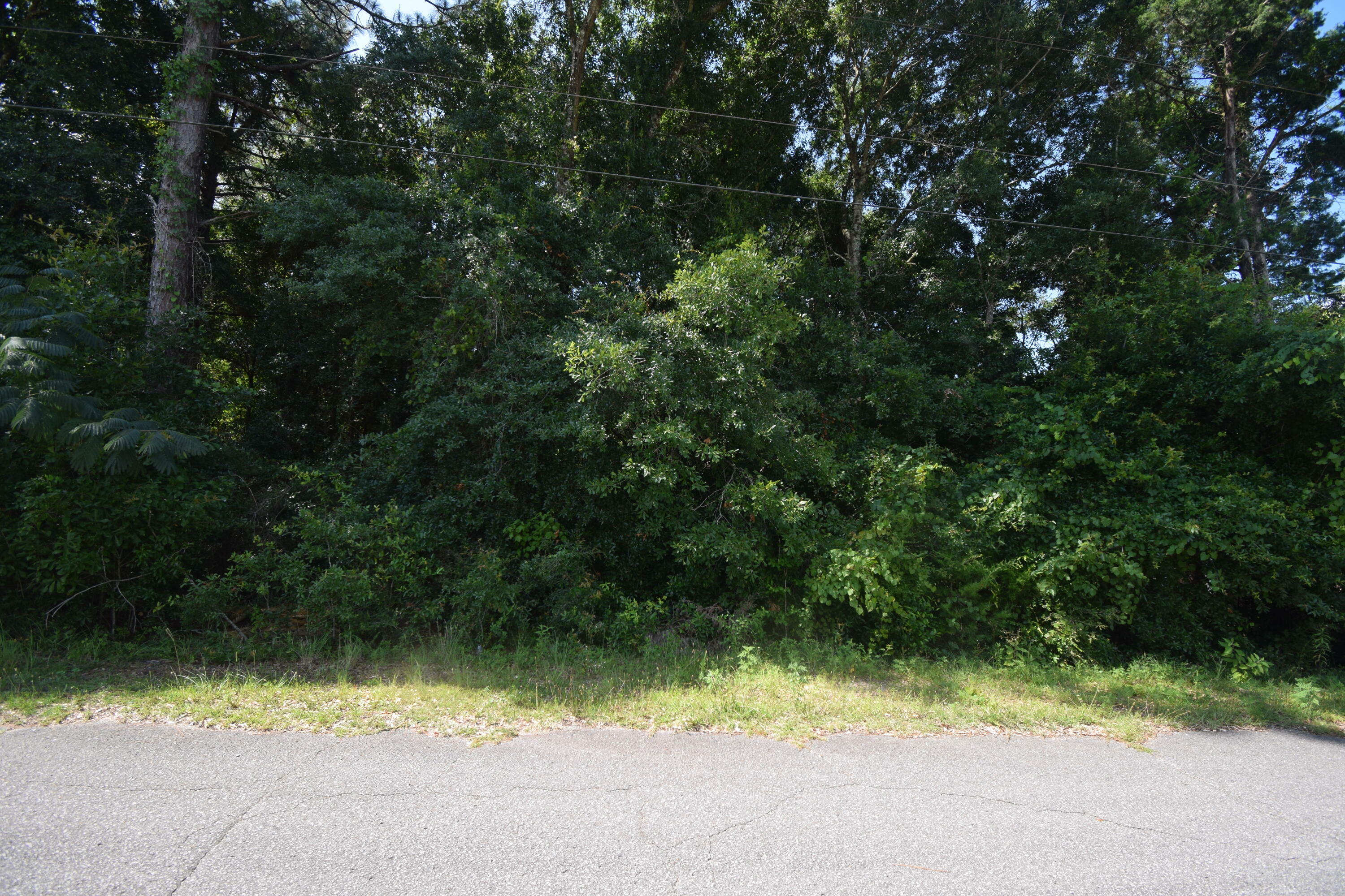 Property Photo: Lot 40 Hunter Drive FL 32539