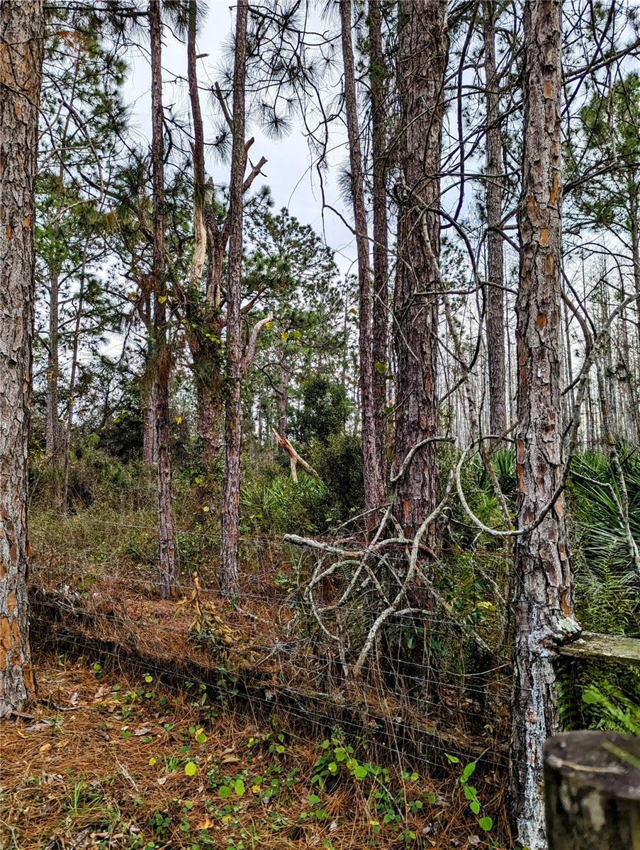 Property Photo: 0 Sweet Hill Rd FL 33868