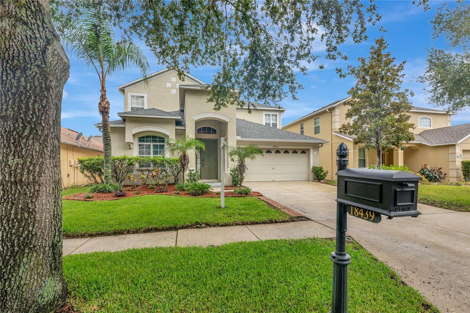 Property Photo: 18439 Red Willow Way FL 34638