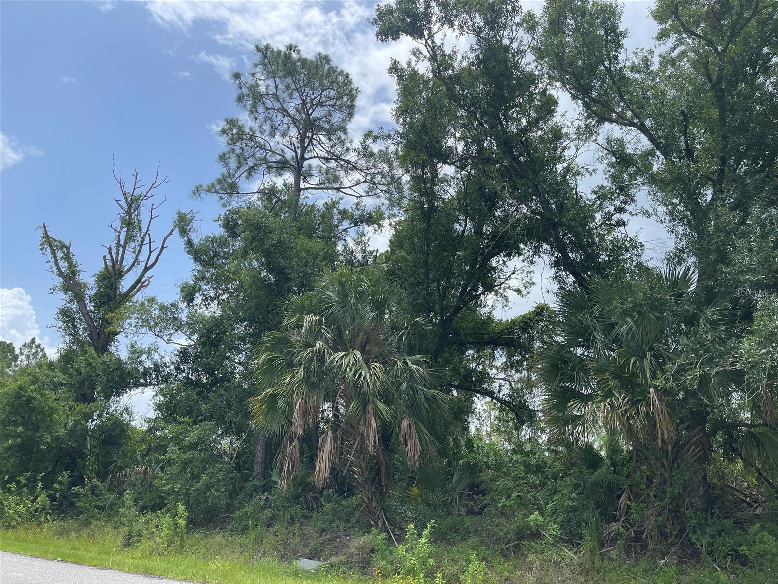 Property Photo: Bellafonte Avenue FL 34286