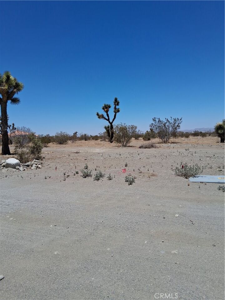 Property Photo: 0 Danbury Road CA 92371