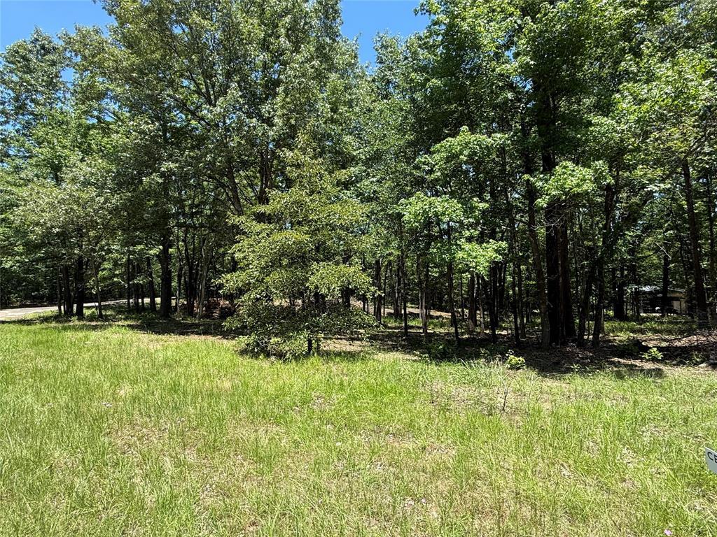 Property Photo: Tbd Pr 5861 (Lot 5) TX 75497