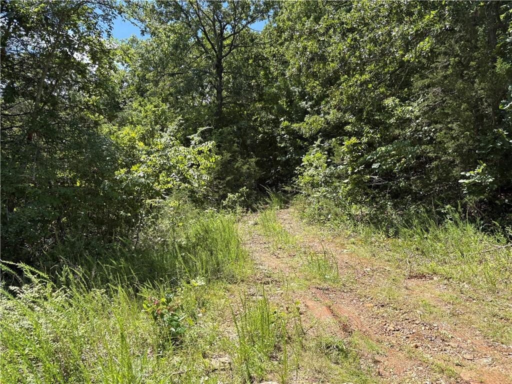 Property Photo:  780-01045-000 Saint Clair Trail  AR 72672 
