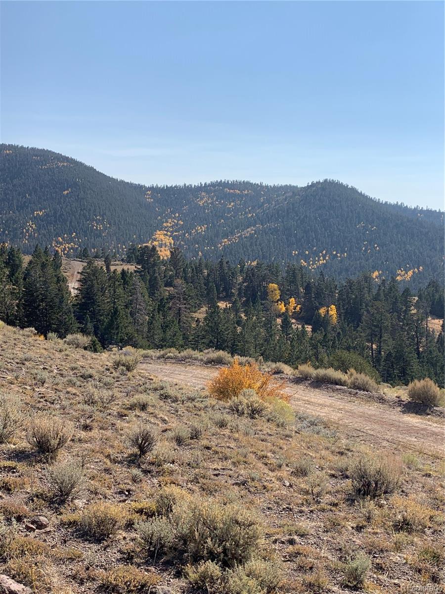 Property Photo:  5079&5087 Delancey Road  CO 81133 