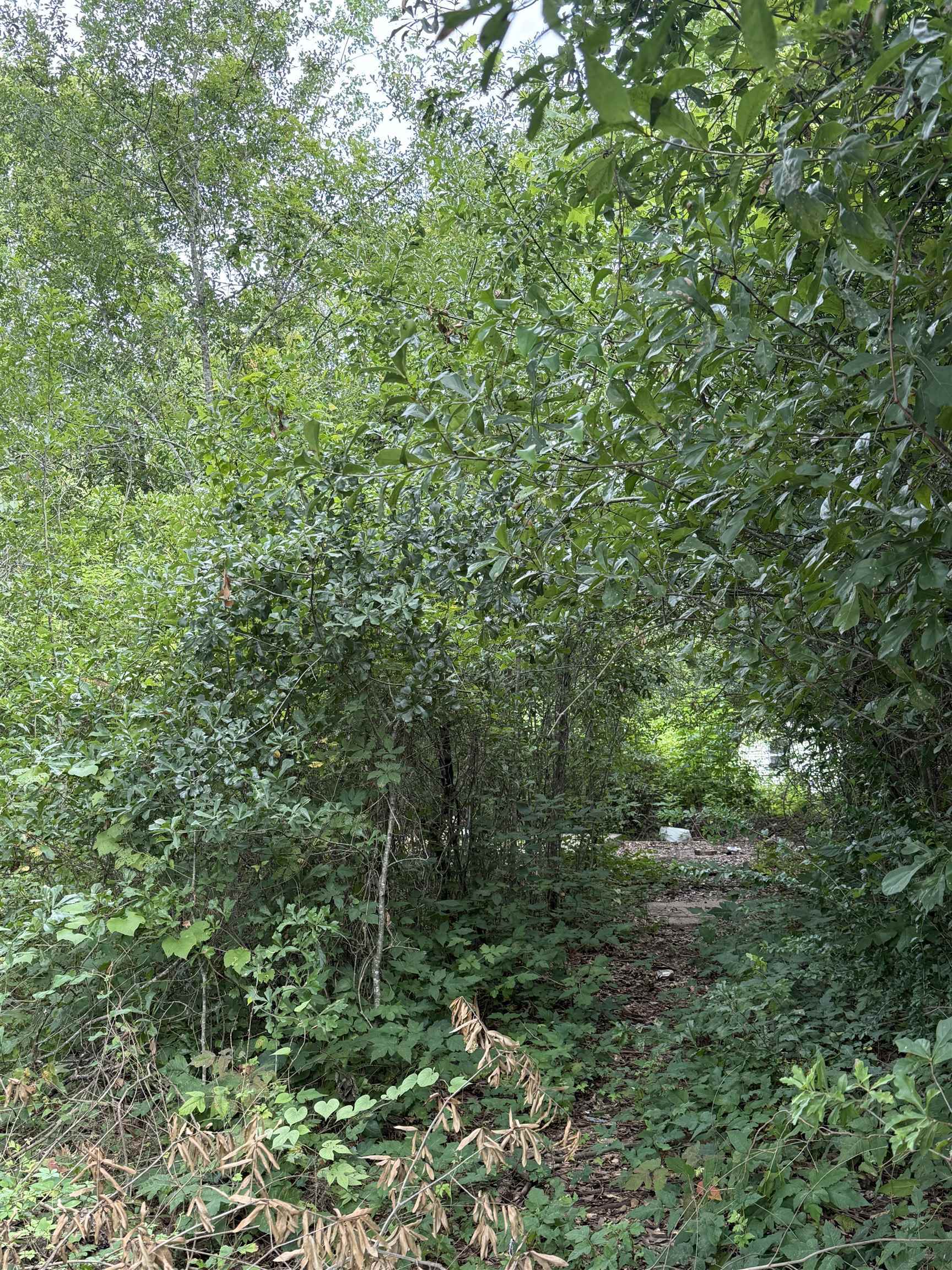 Property Photo:  7 Circle R  TX 77630 