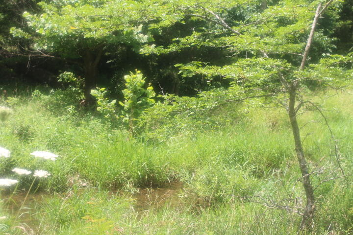 Property Photo:  3176 S 170th Road  MO 65727 