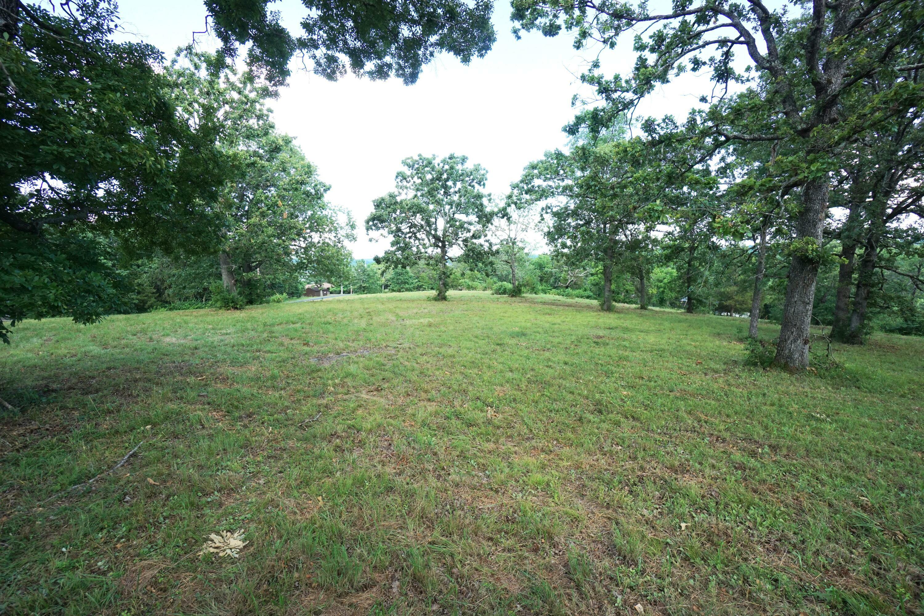 Property Photo: