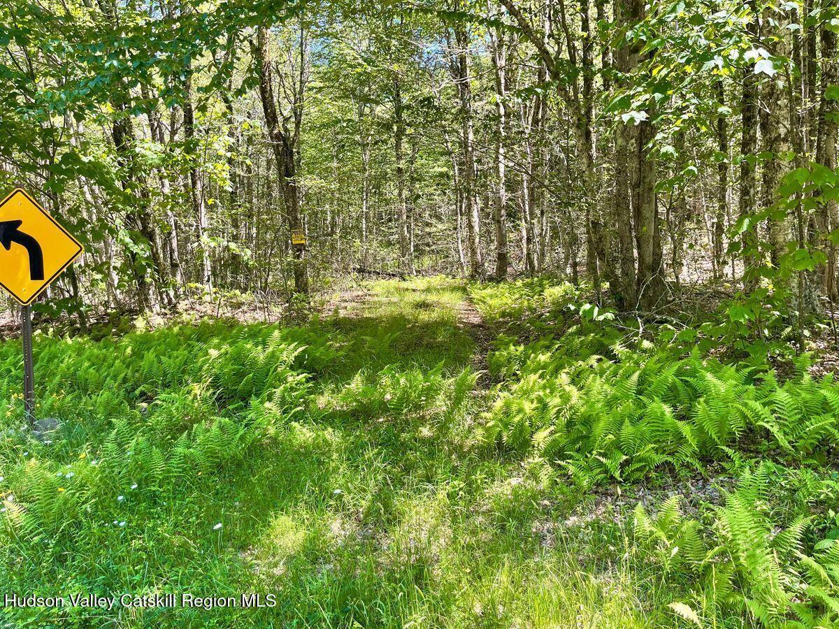 Property Photo:  3045 Red Hill  NY 12740 