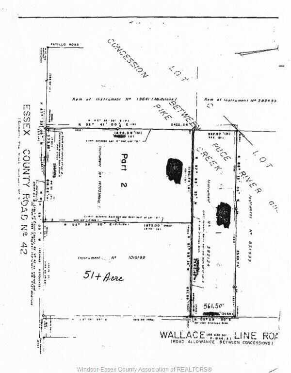 469 Wallace Line  Lakeshore ON N0C 1C0 photo