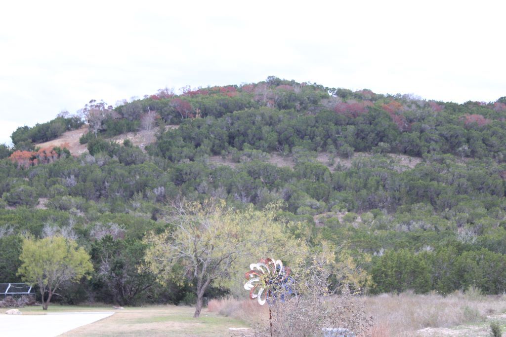 Property Photo: 218 Spring Hollow Drive Drive TX 78605