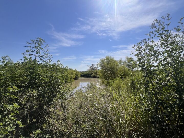 Property Photo:  700 County Road 330 Road  TX 76530 